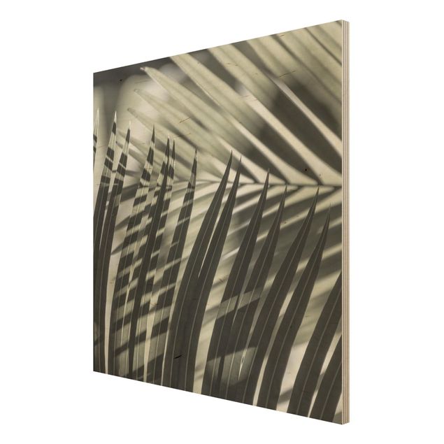 Obrazy drewniane Gra cieni na liściu palmy