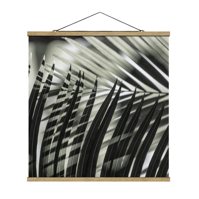 Obrazy krajobraz Gra cieni na liściu palmy