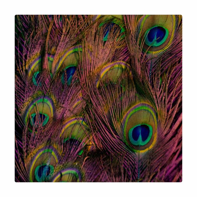 Mata korkowa - Olśniewające pawie pióra