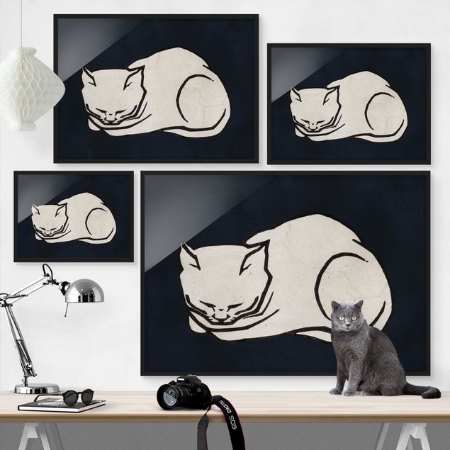 Obrazy w ramie do kuchni Ilustracja przedstawiająca śpiącego kota