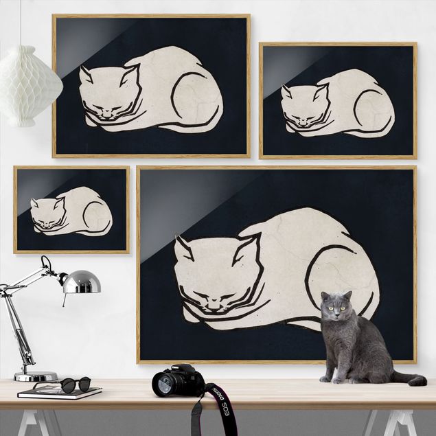 Obrazy w ramie do kuchni Ilustracja przedstawiająca śpiącego kota