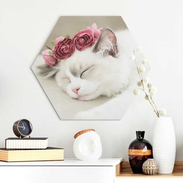 Pokój dziecięcy Śpiący kot z różami