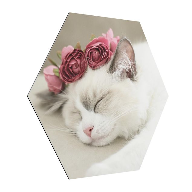 Obrazy zwierzęta Śpiący kot z różami