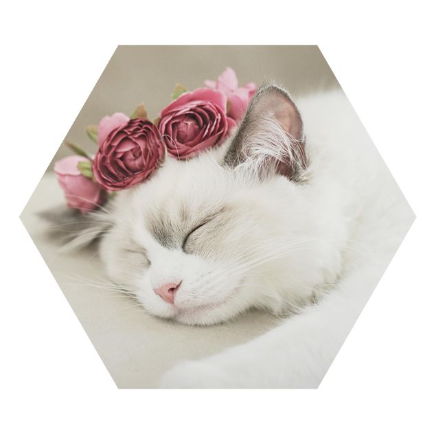 Obrazy kwiatowe Śpiący kot z różami
