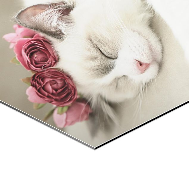 Obraz heksagonalny Śpiący kot z różami