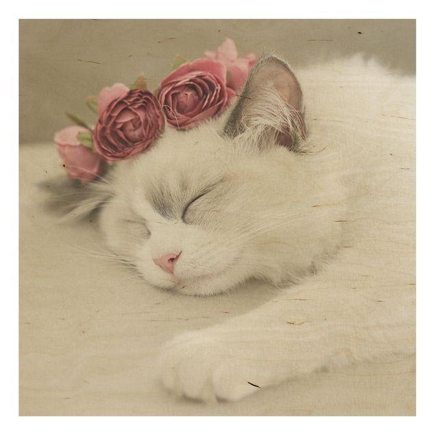 Obrazy na ścianę Śpiący kot z różami