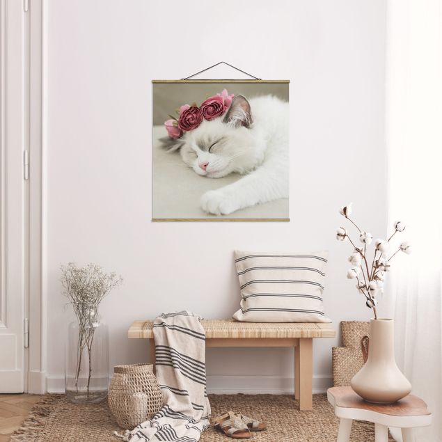 Nowoczesne obrazy Śpiący kot z różami