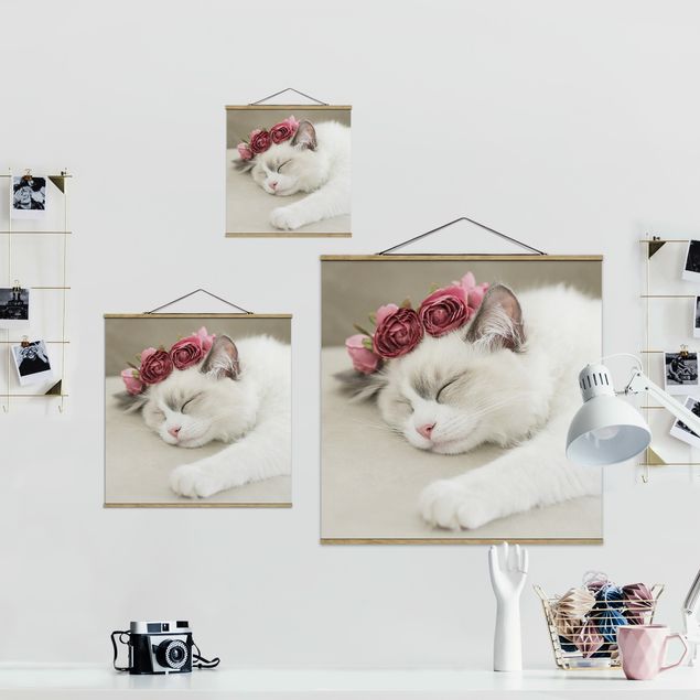 Obrazy na ścianę Śpiący kot z różami