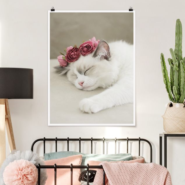 Plakat - Śpiący kot z różami