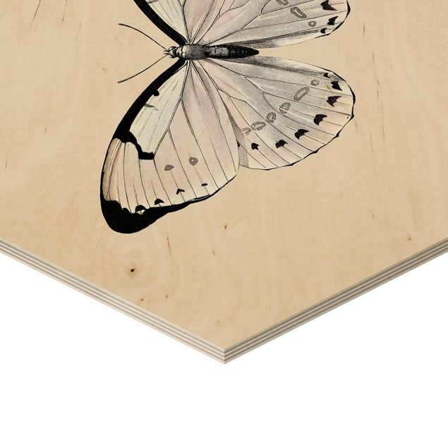 Obraz heksagonalny z drewna - Motyl na beżu
