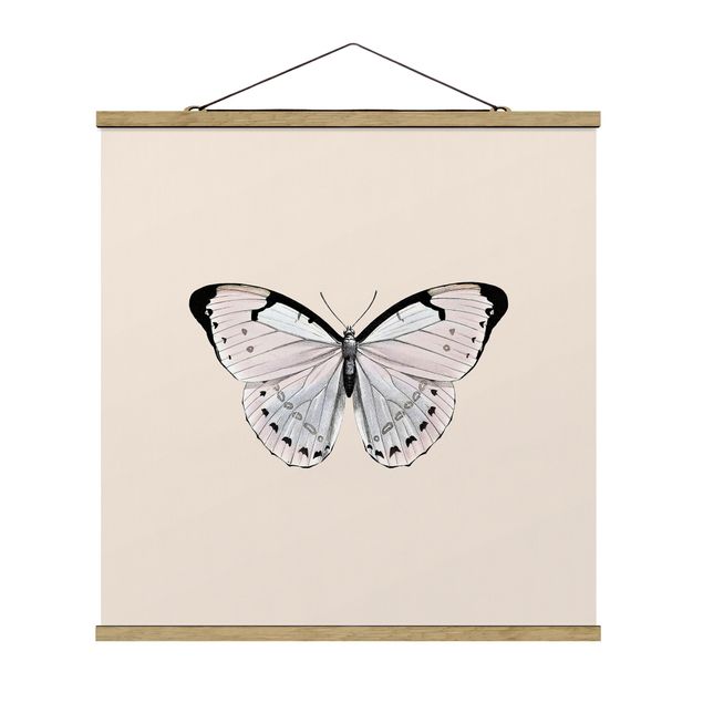 Obraz z motylem Motyl na beżu