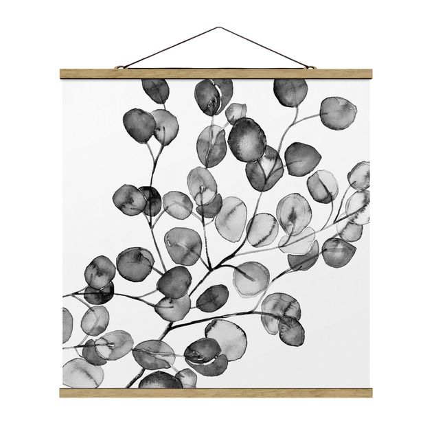 Czarno białe obrazy czarno-biały Akwarela gałązka eukaliptusa