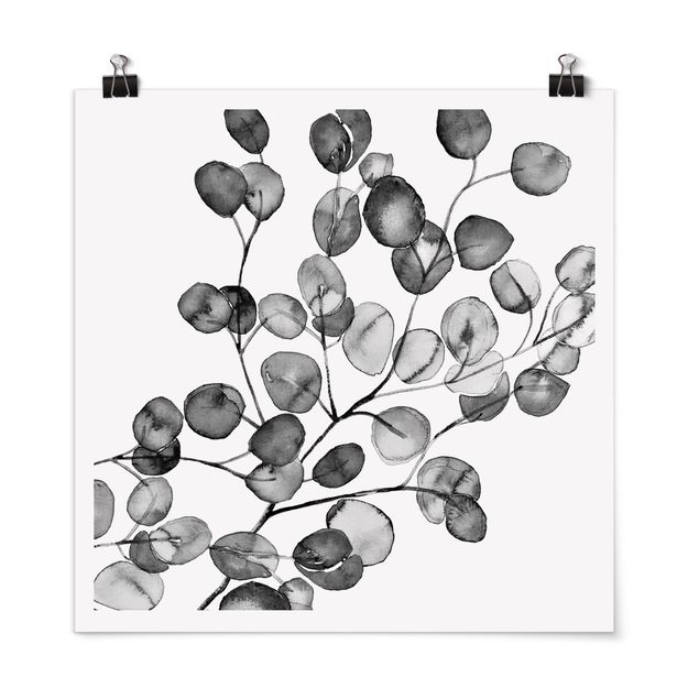 Czarno białe obrazki czarno-biały Akwarela gałązka eukaliptusa