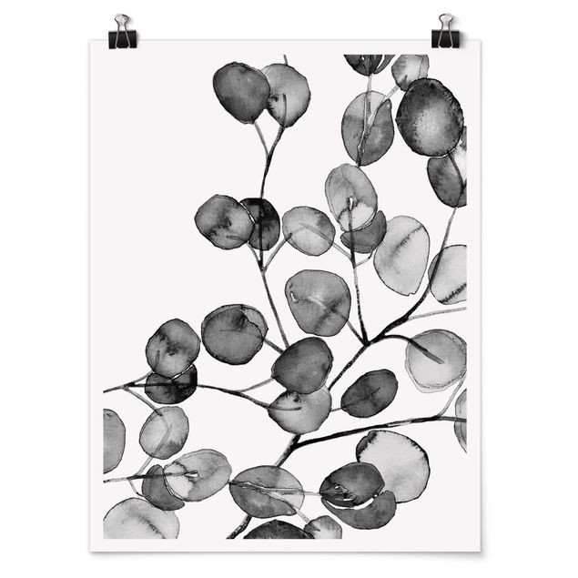 Czarno białe obrazki czarno-biały Akwarela gałązka eukaliptusa
