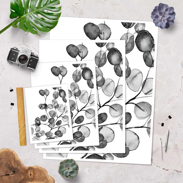 Plakat - czarno-biały Akwarela gałązka eukaliptusa