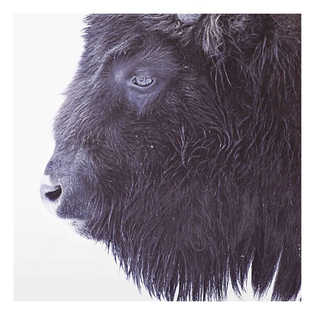 Obrazy do salonu Portret czarnego bizona