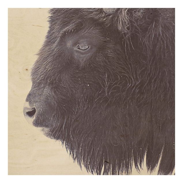 Obrazy na ścianę Portret czarnego bizona