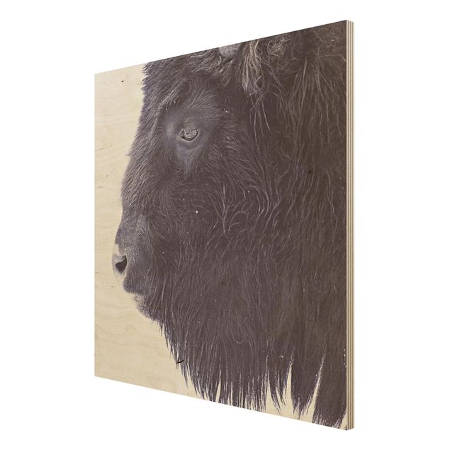 Obrazy z drewna Portret czarnego bizona
