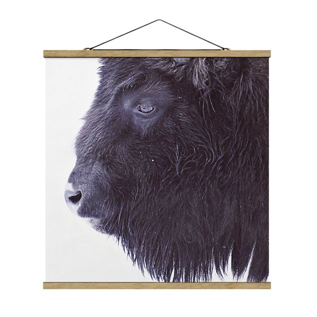 Zwierzęta obrazy Portret czarnego bizona