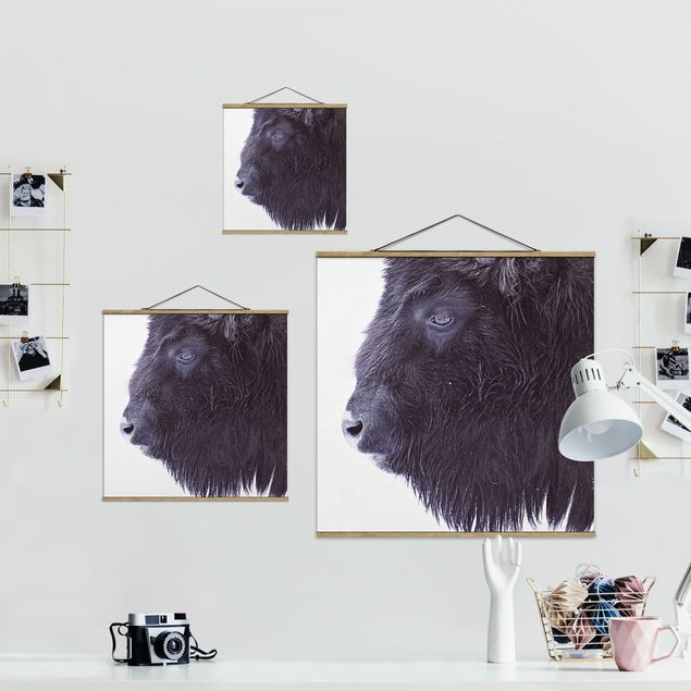 Obrazy na ścianę Portret czarnego bizona