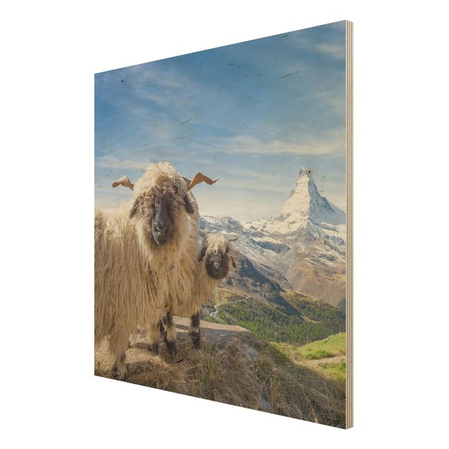 Obrazy drewniane Czarnonose owce z Zermatt