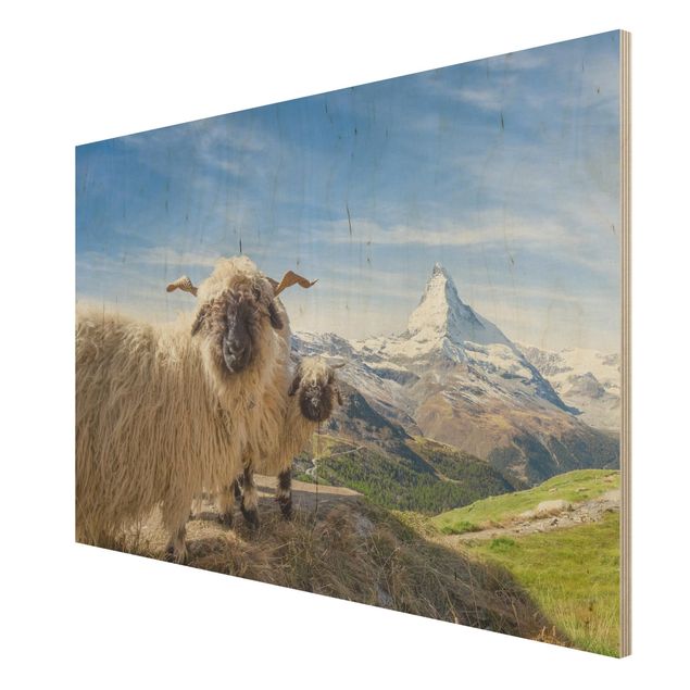 Obrazy drewniane Czarnonose owce z Zermatt
