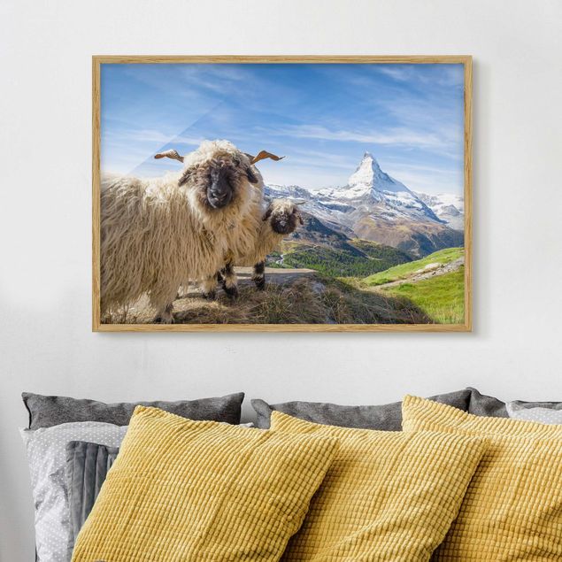 Dekoracja do kuchni Czarnonose owce z Zermatt