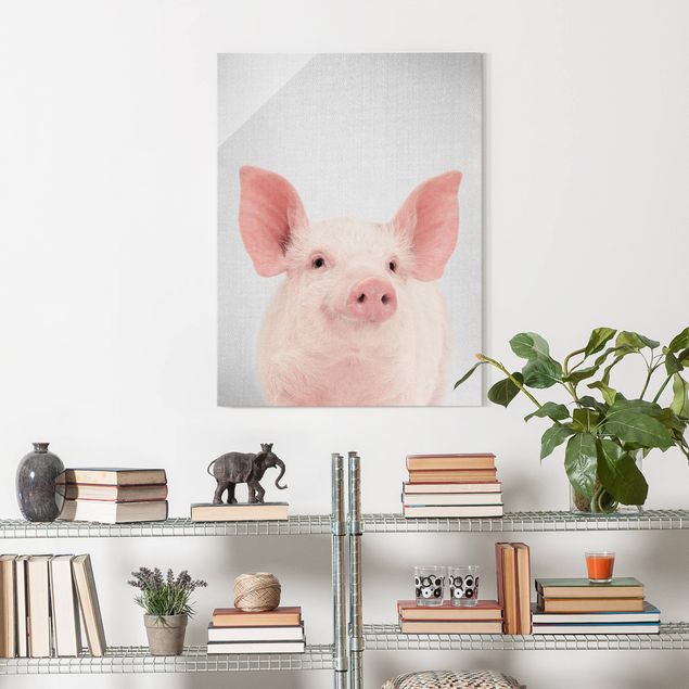 Obrazy na szkle portret Pig Shorsh