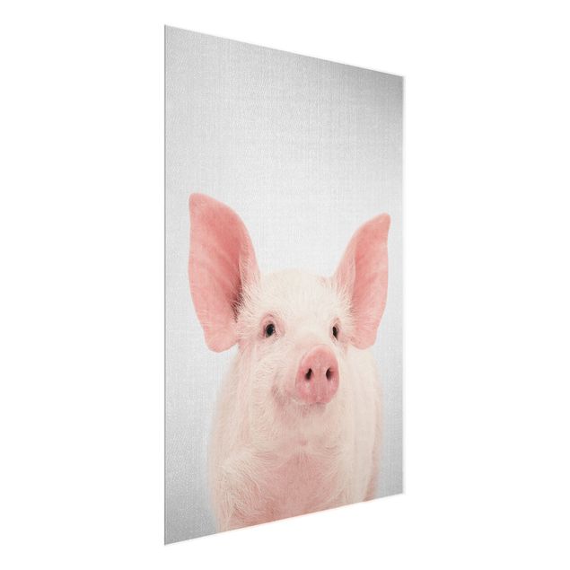 Obrazy do salonu nowoczesne Pig Shorsh