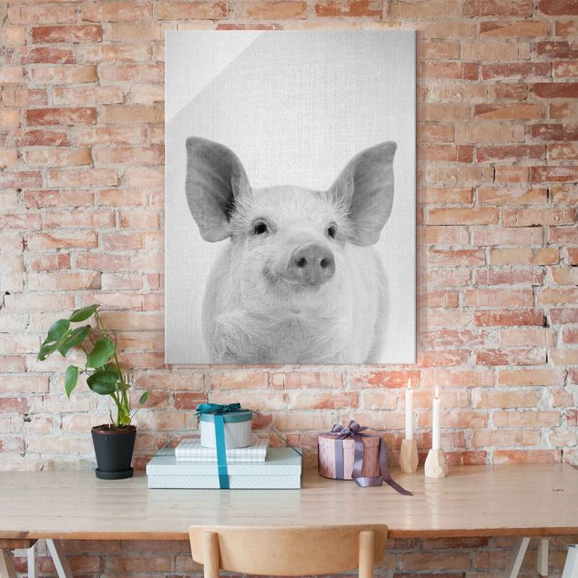 Obrazy na szkle portret Pig Shorsh Black And White