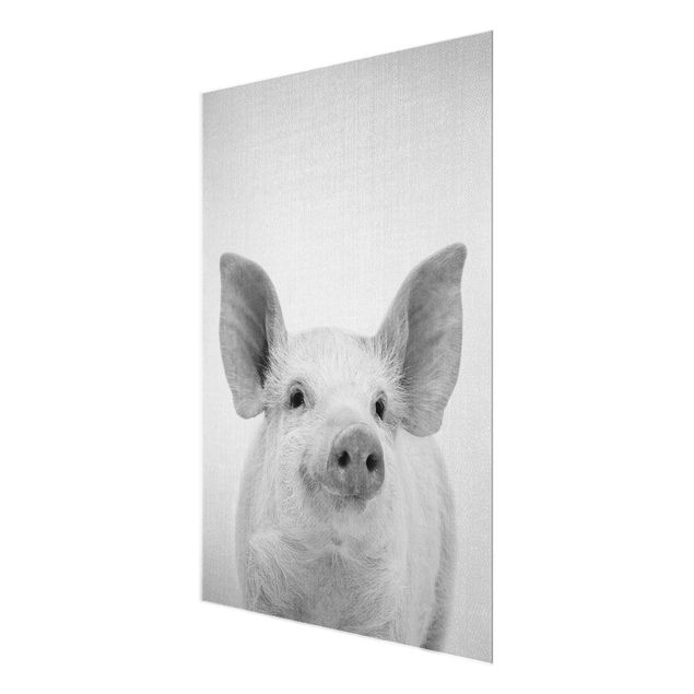 Obrazy ze zwierzętami Pig Shorsh Black And White