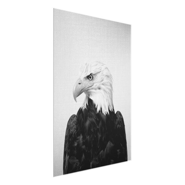 Nowoczesne obrazy do salonu Sea Eagle Socrates Black And White