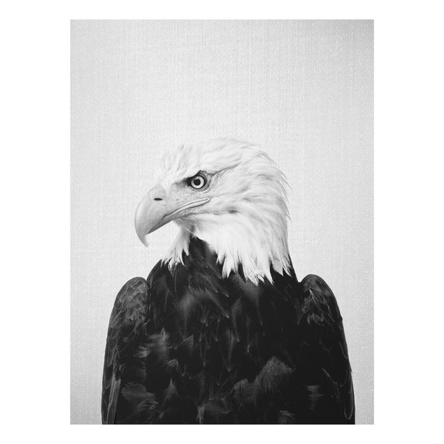 Obrazy nowoczesny Sea Eagle Socrates Black And White