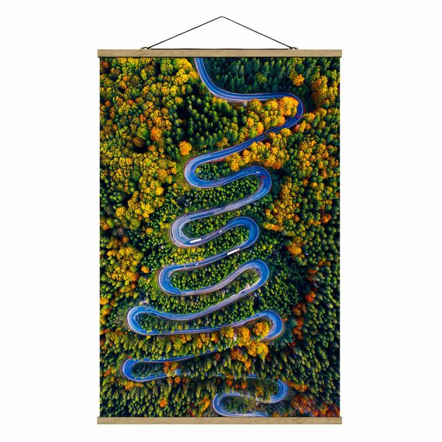 Obrazy nowoczesne Serpentyny w Lesie Transylwańskim