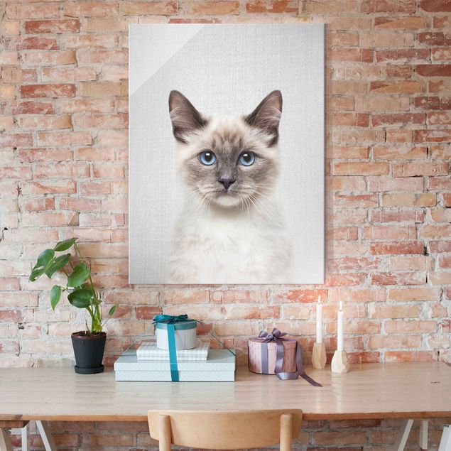 Obrazy na szkle portret Siamese Cat Sibylle