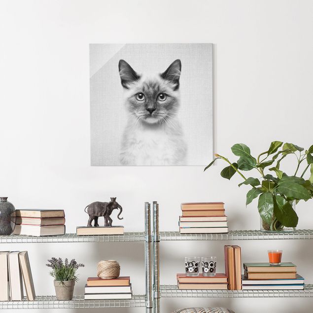 Obrazy na szkle kwadrat Siamese Cat Sibylle Black And White