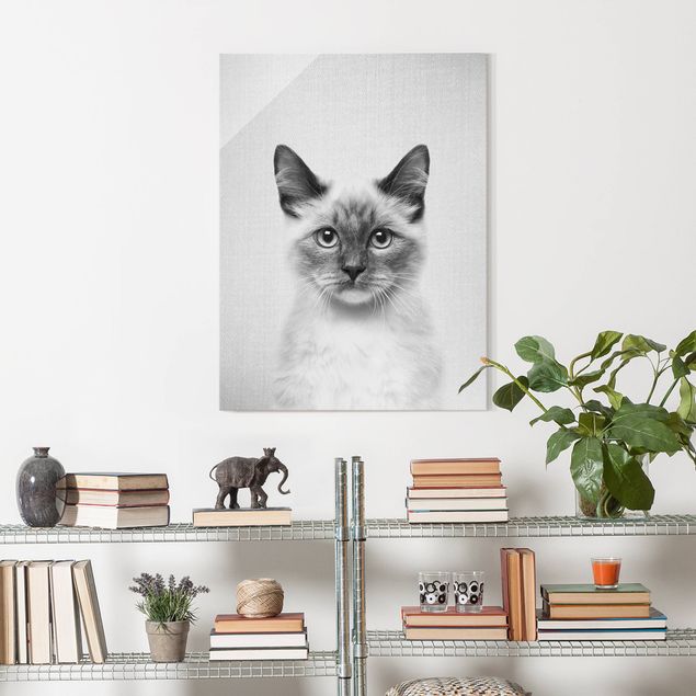 Obrazy na szkle portret Siamese Cat Sibylle Black And White