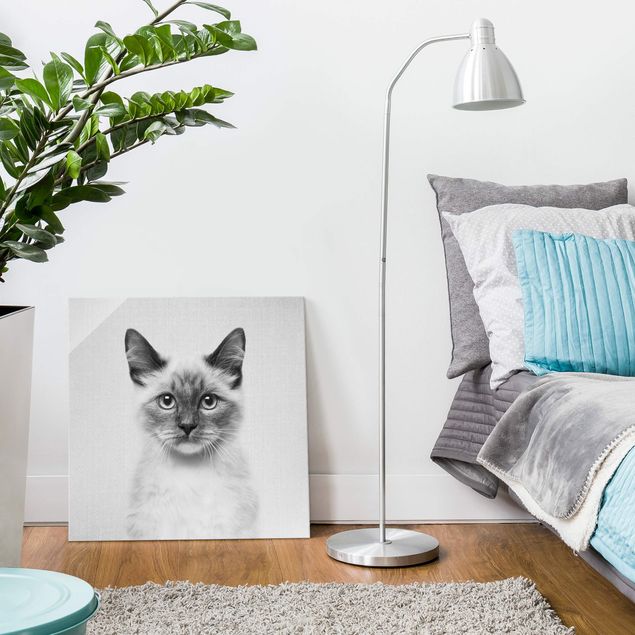 Obrazy do salonu Siamese Cat Sibylle Black And White
