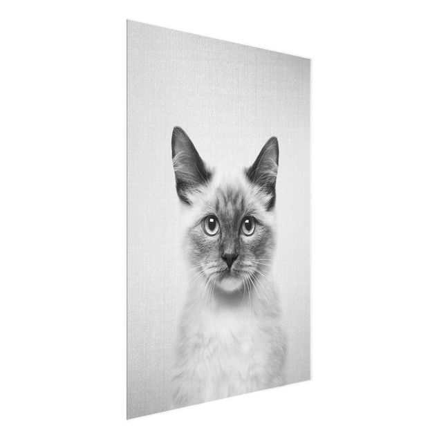 Obrazy koty Siamese Cat Sibylle Black And White