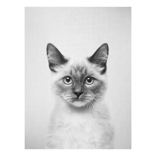 Obrazy na szkle zwierzęta Siamese Cat Sibylle Black And White