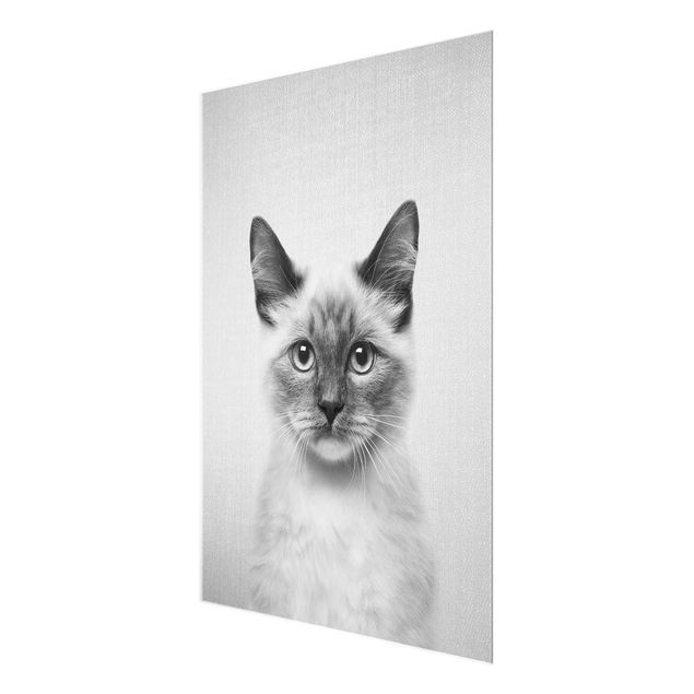 Obrazy nowoczesne Siamese Cat Sibylle Black And White