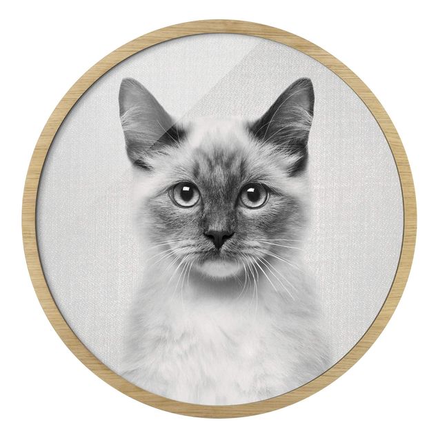 Obrazy w ramie zwierzęta Kot syjamski Sibylle czarno-biały