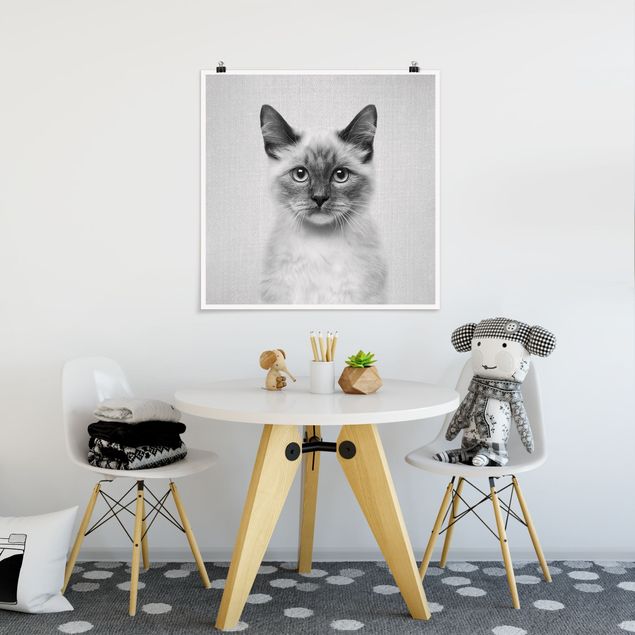 Nowoczesne obrazy do salonu Siamese Cat Sibylle Black And White