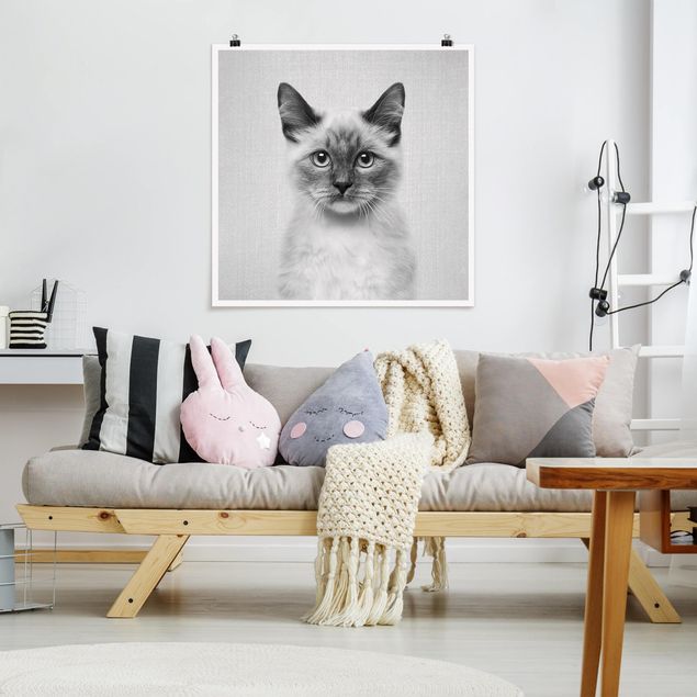 Obrazy nowoczesny Siamese Cat Sibylle Black And White