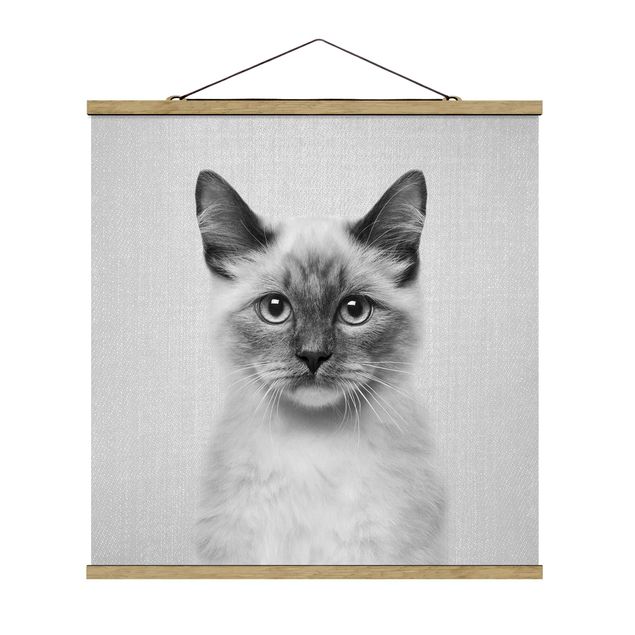 Obraz z kotem Siamese Cat Sibylle Black And White