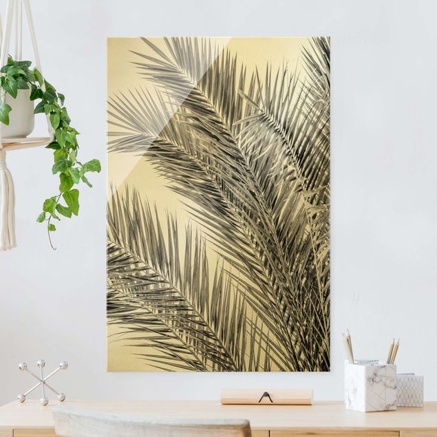 Obraz na szkle - Srebrne liście palmy