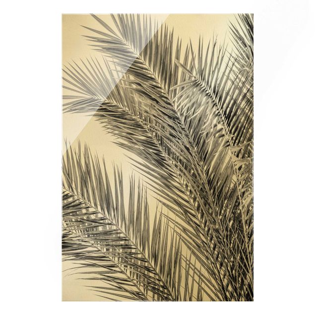 Obraz na szkle - Srebrne liście palmy
