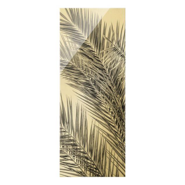 Nowoczesne obrazy Srebrne liście palmy