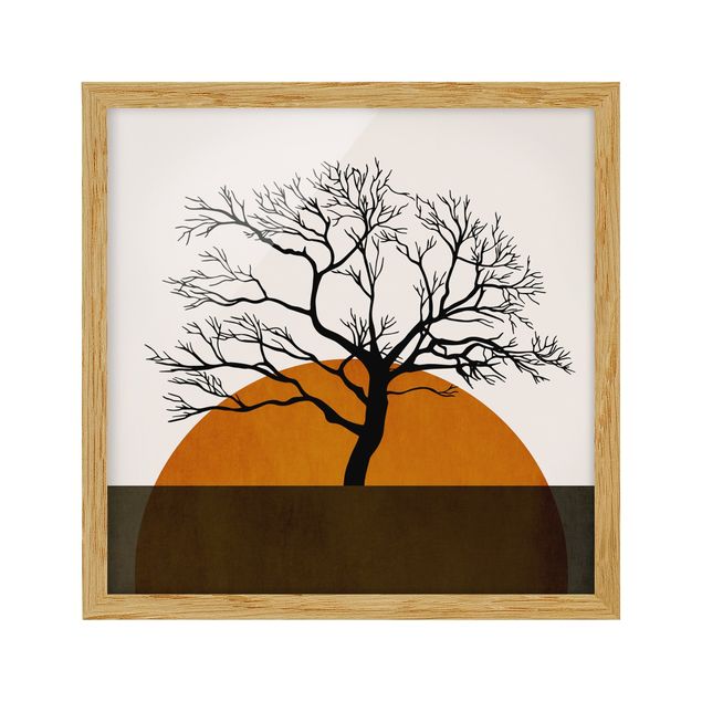 Obrazy do salonu Słońce z drzewem