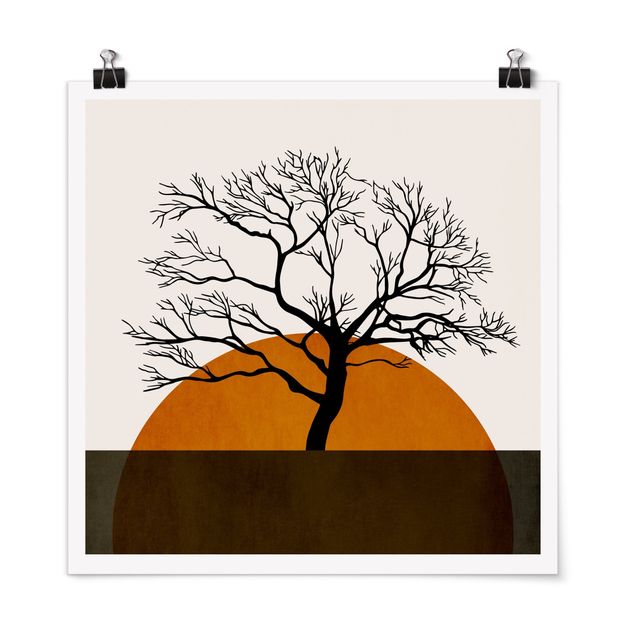 Drzewo obraz Słońce z drzewem